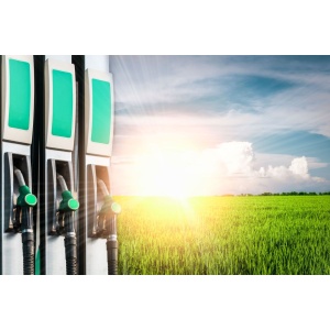 ​​​​​​​Le bioéthanol, l’alternative écologique à l’essence