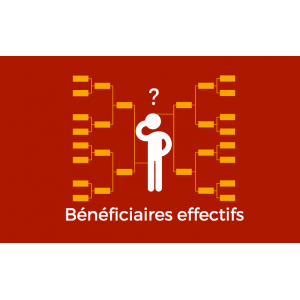 Bénéficiaire effectif d'une société